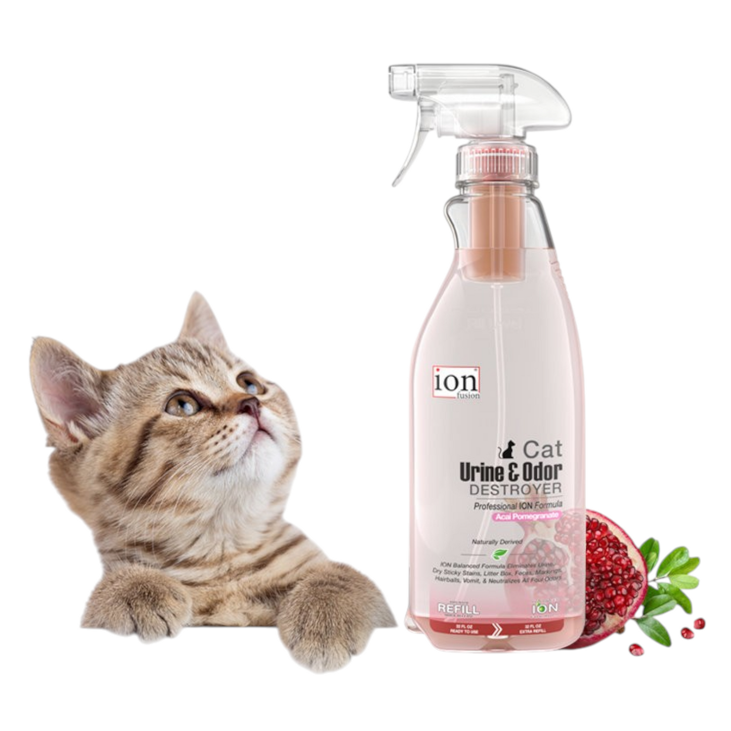 ION Cat 32 Oz Urine and Odor Destroyer - Pomegranate