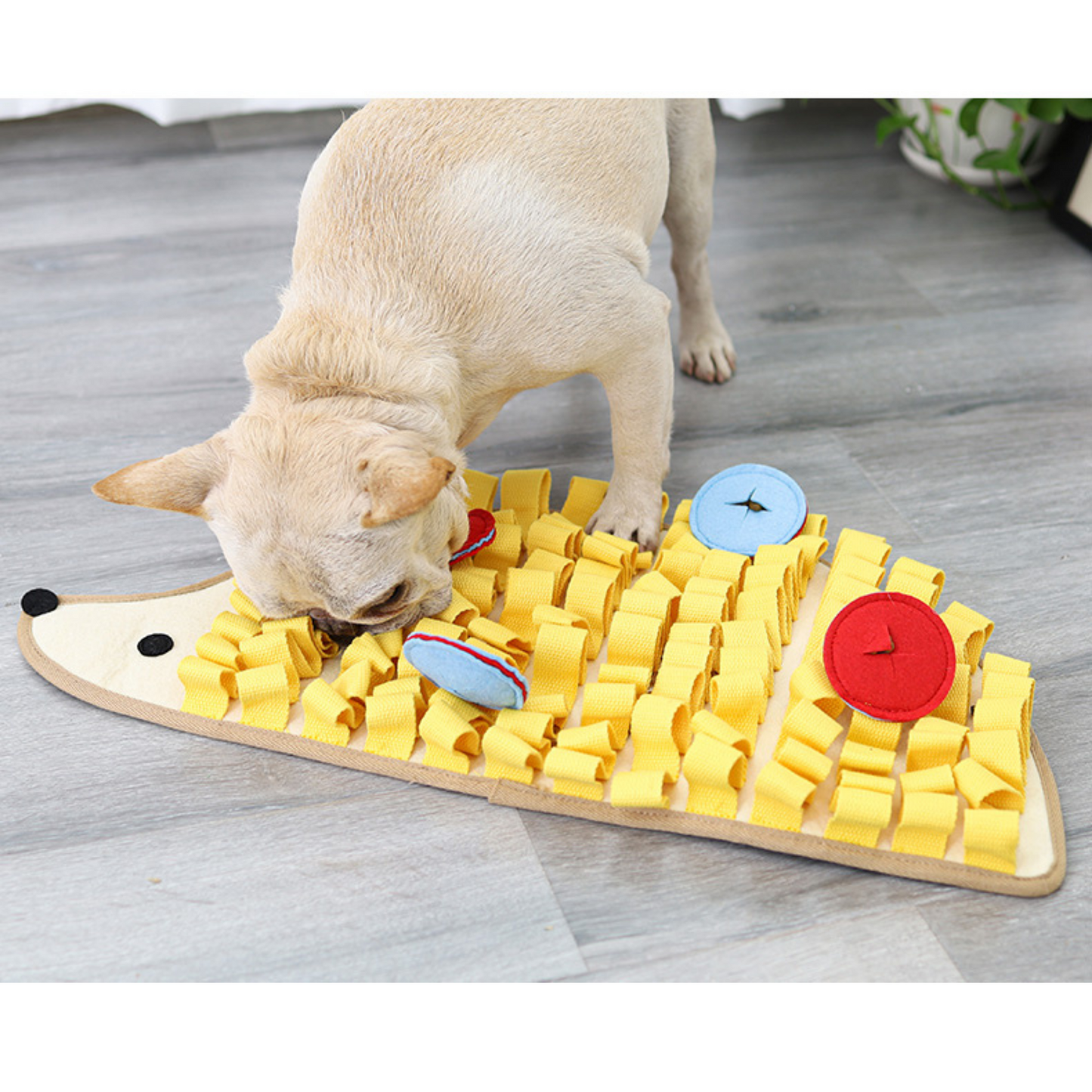 Archstone Pets Snuffle Mat - Porcupine, Feeding Training Mat