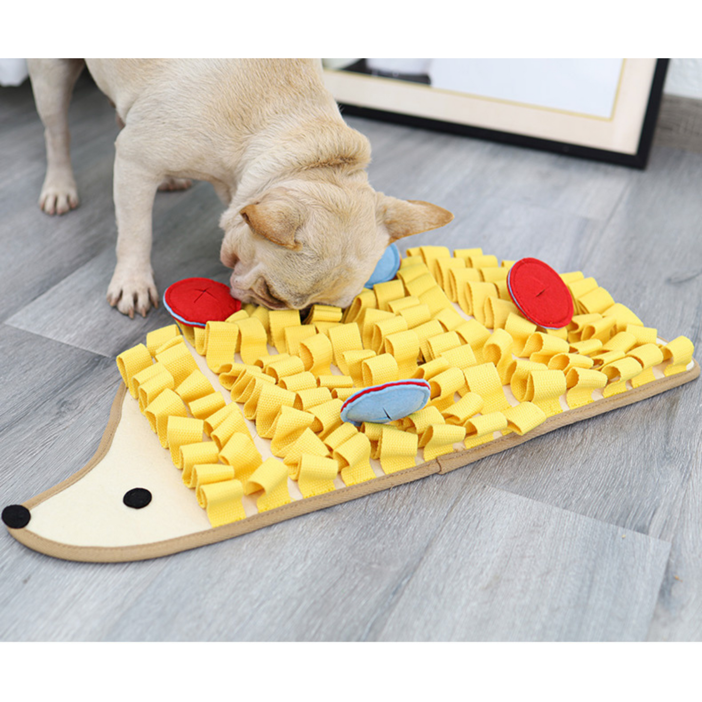 Archstone Pets Snuffle Mat - Porcupine, Feeding Training Mat