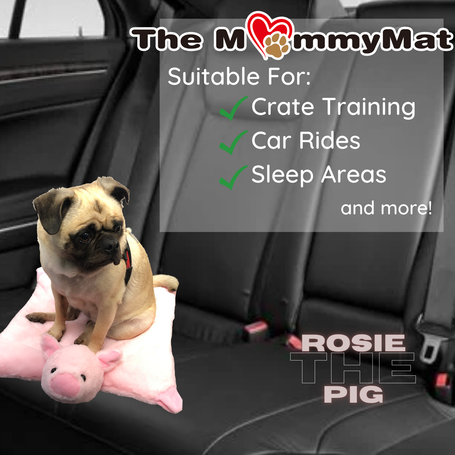 Archstone Pets MommyMat - Rosie the Pig