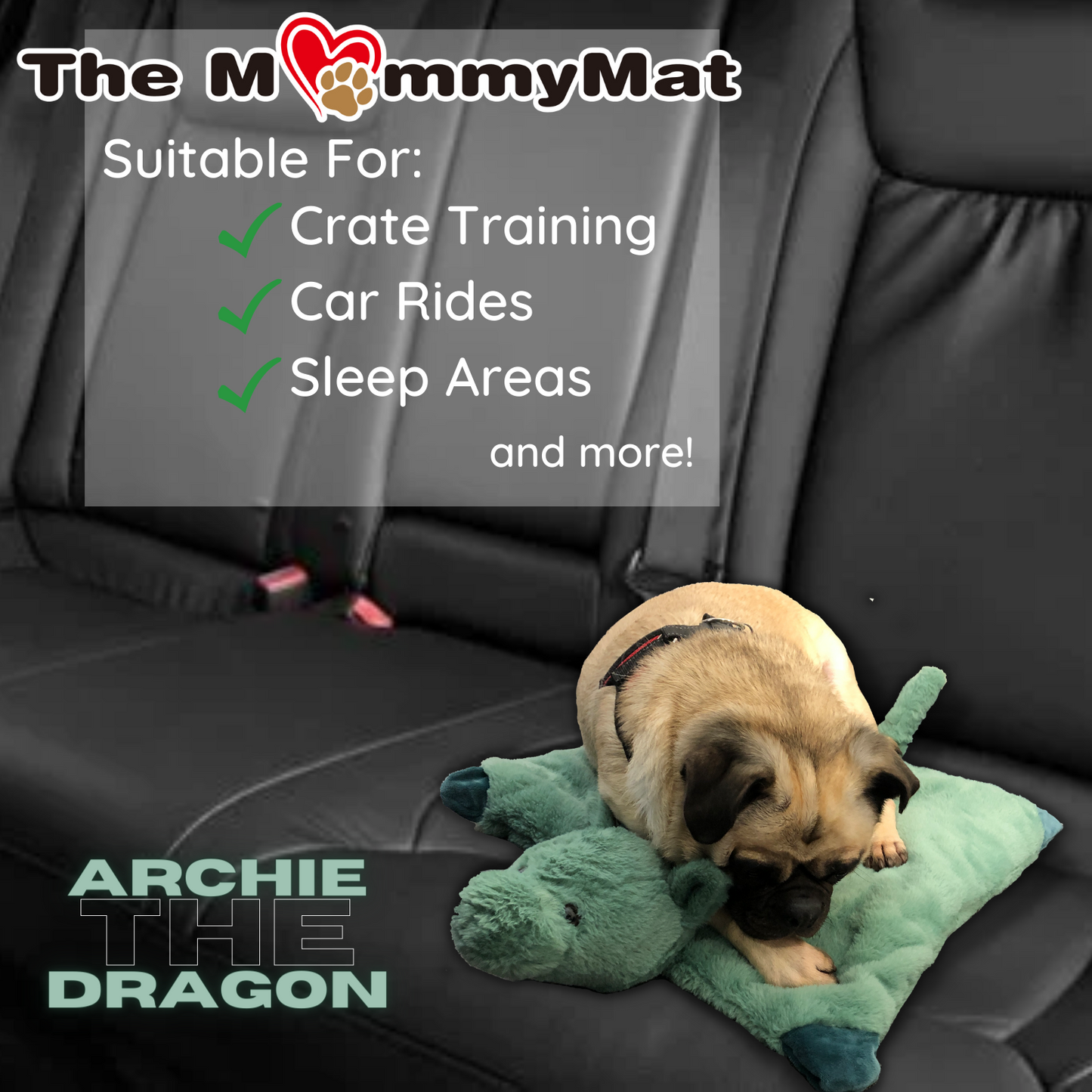 Pet MommyMat - Archie the Dragon