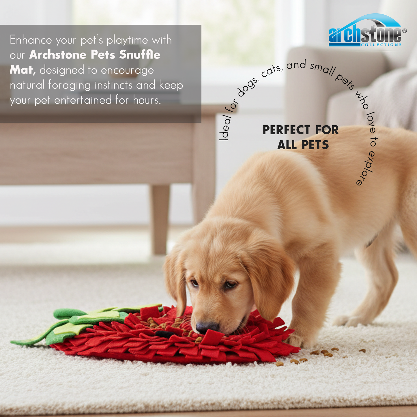 Archstone Pets Snuffle Mat - Strawberry, Feeding Training Mat