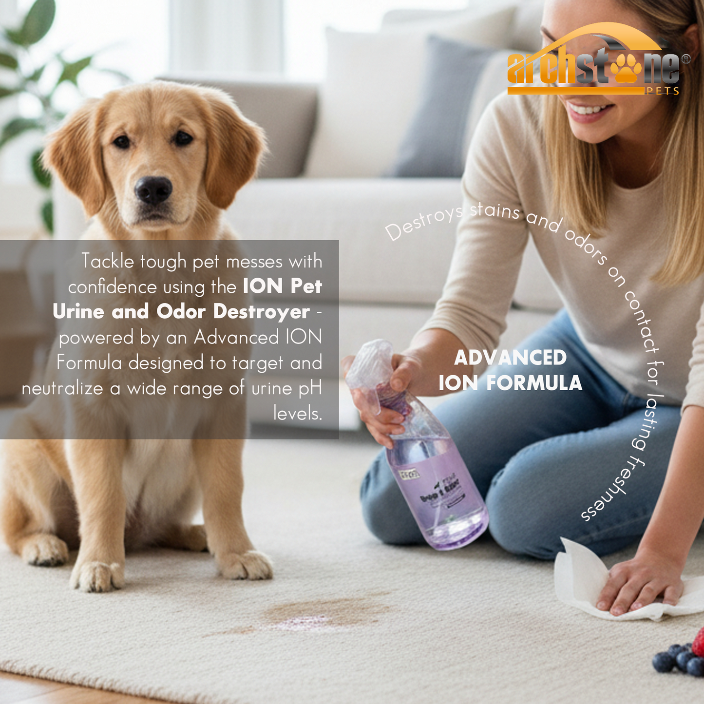 ION Pet 32 Oz Urine and Odor Destroyer - Mixed Berry