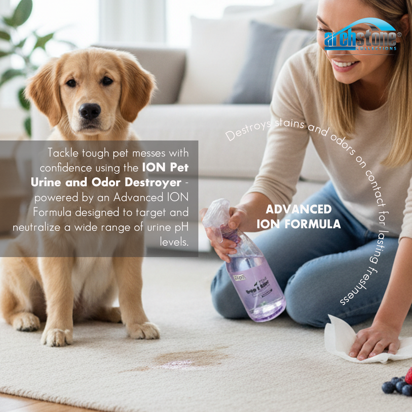 ION Pet 32 Oz Urine and Odor Destroyer - Mixed Berry